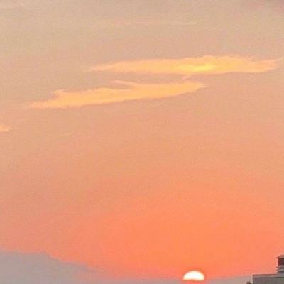 虎啸龙吟手游内购破解版下载