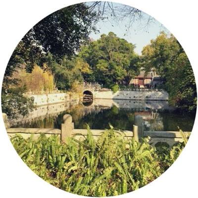 放置江湖单机破解版下载